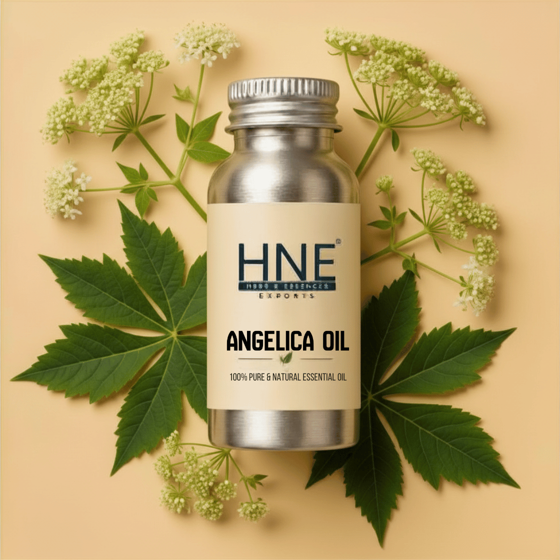 Aluminium bottle of HNE Angelica Oil with leaves and flowers on a beige background