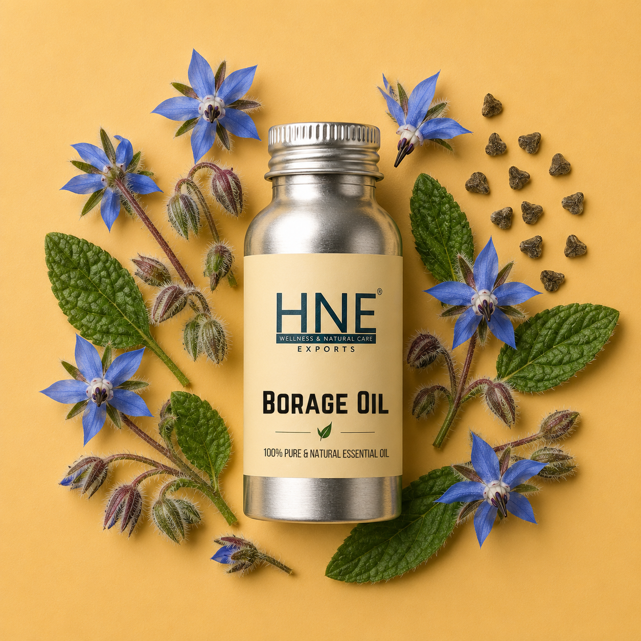 Bottle of HNE Borage Oil surrounded by borage flowers and leaves on a yellow background