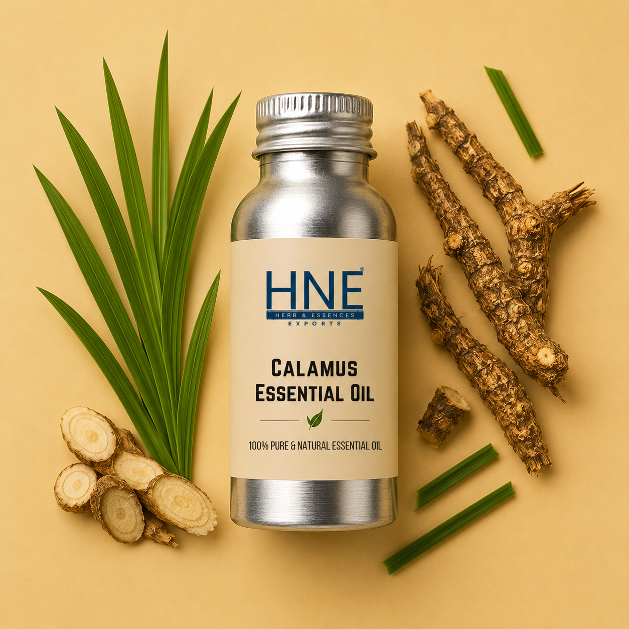 Calamus essential oil bottle with calamus root and leaves on a beige background