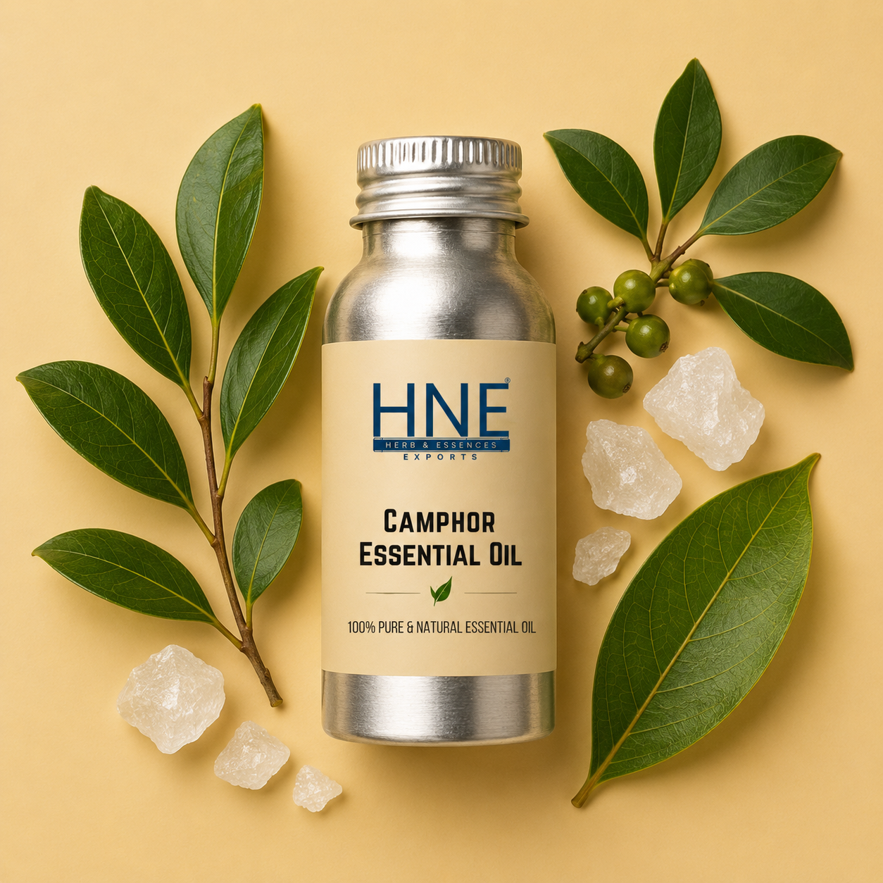 Bottle of HNE Camphor Essential Oil with leaves and crystals on a beige background