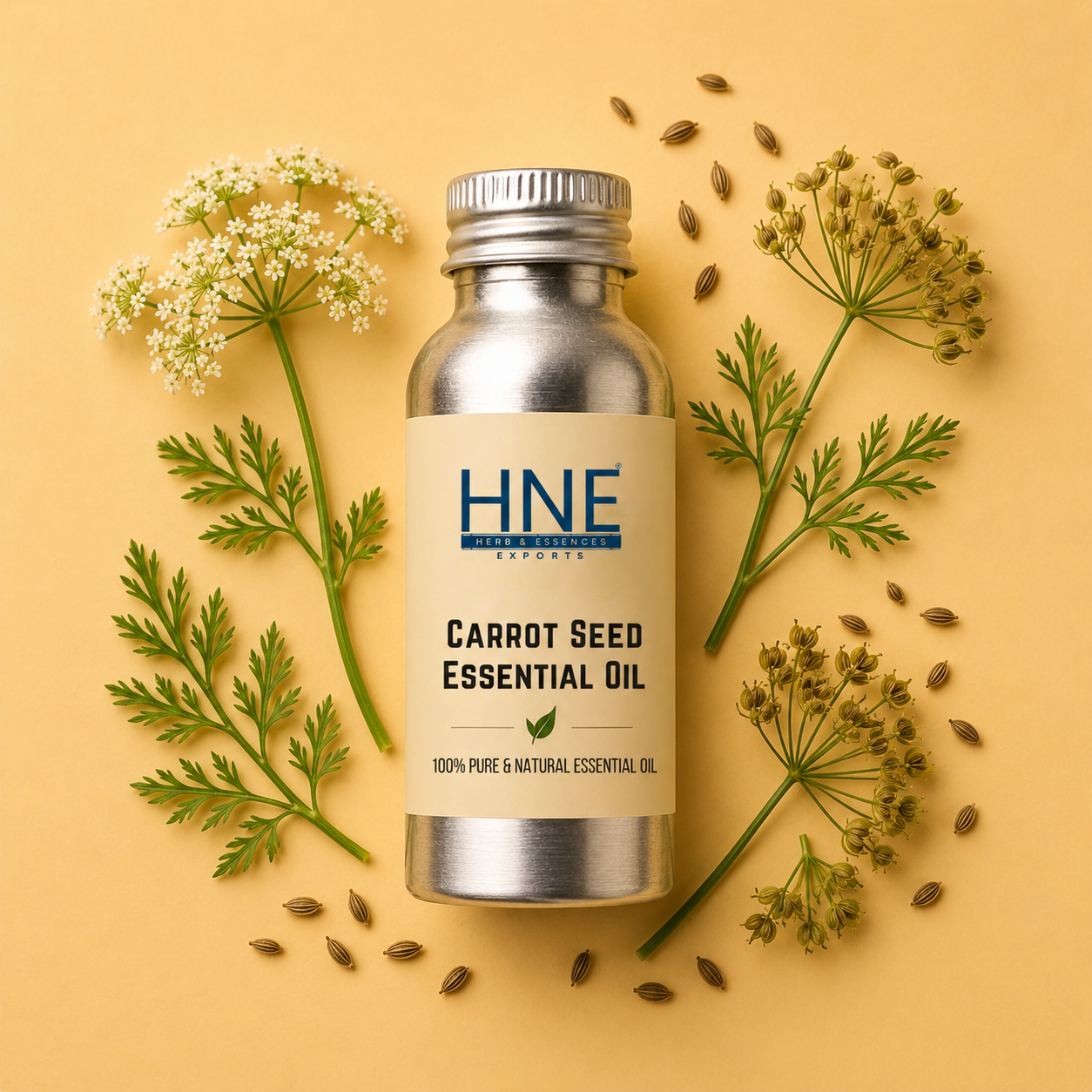 Bottle of HNE Carrot Seed Essential Oil with carrot seeds and leaves on a yellow background