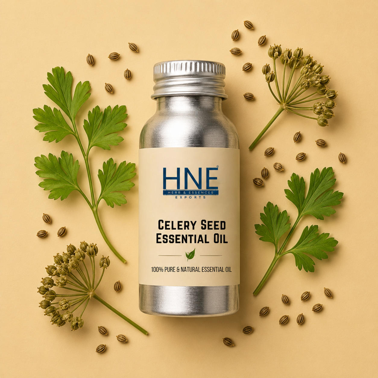 Bottle of HNE Celery Seed Essential Oil with celery seed plants on a beige background