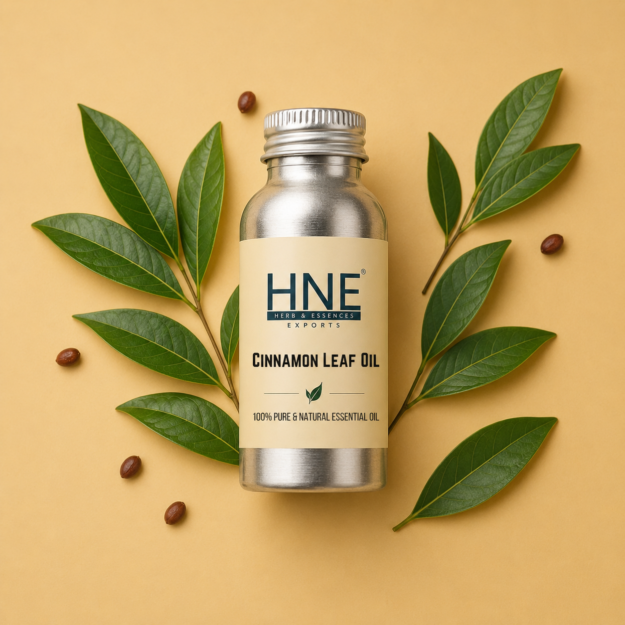 Bottle of HNE Cinnamon Leaf Oil with cinnamon leaves and seeds on a beige background