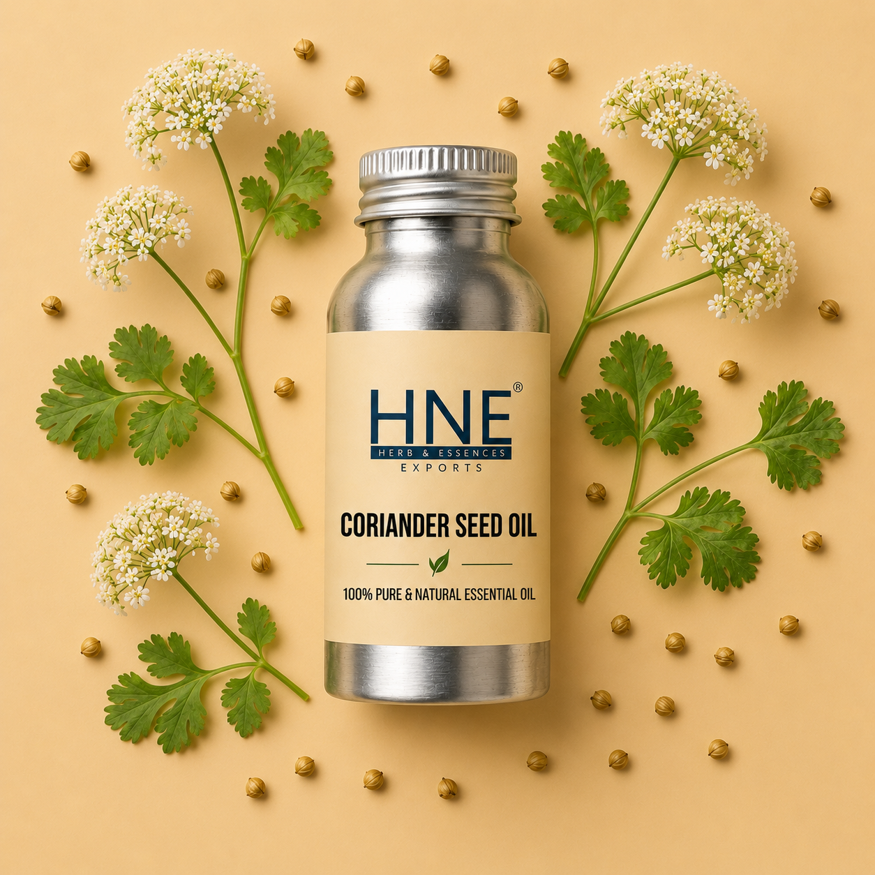 Bottle of HNE Coriander Seed Oil with coriander seeds and leaves on a beige background