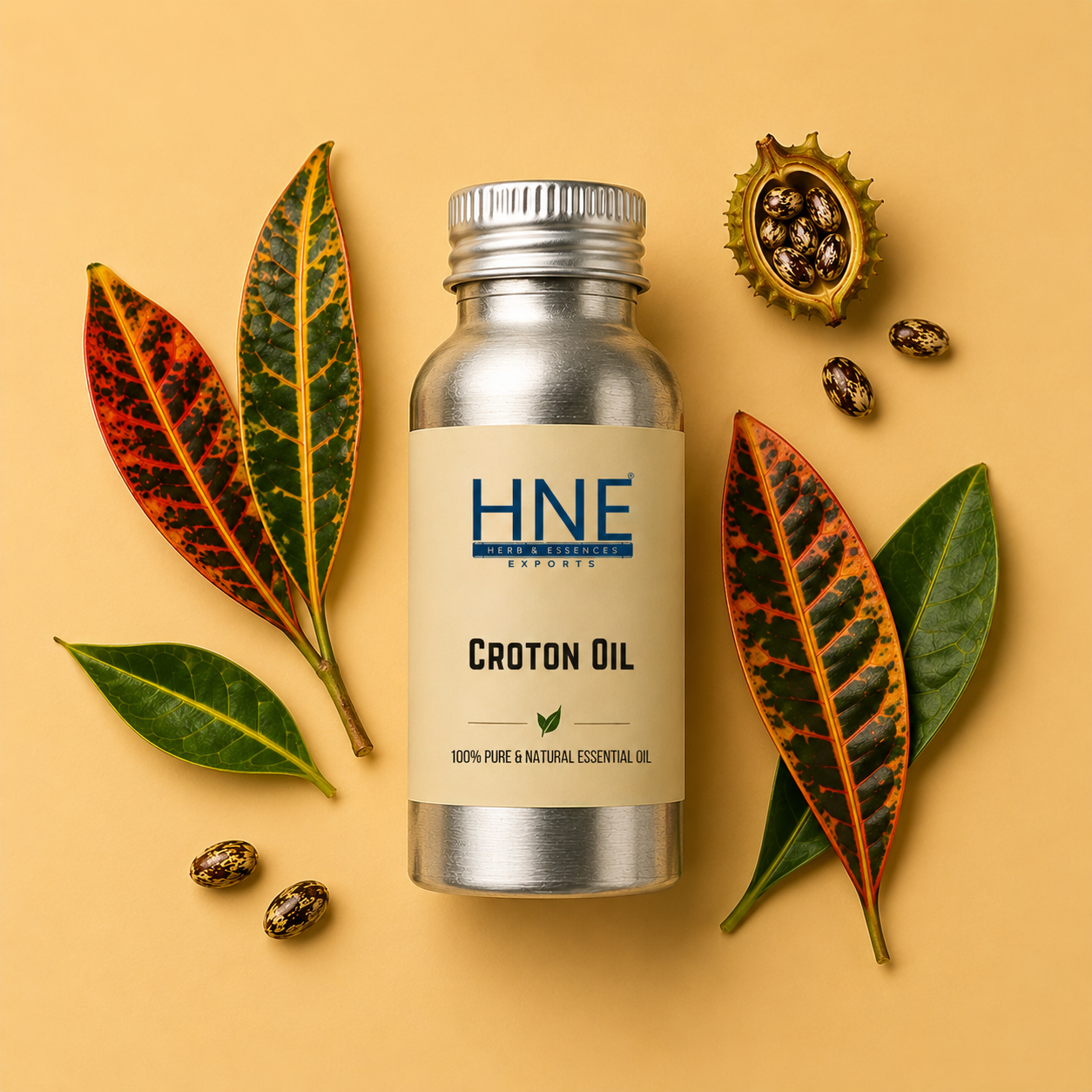 Bottle of HNE Croton Oil with croton seeds and leaves on a beige background