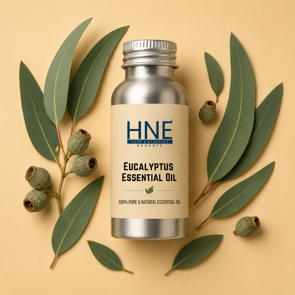 Bottle of HNE Eucalyptus Essential Oil with eucalyptus leaves and buds on a beige background