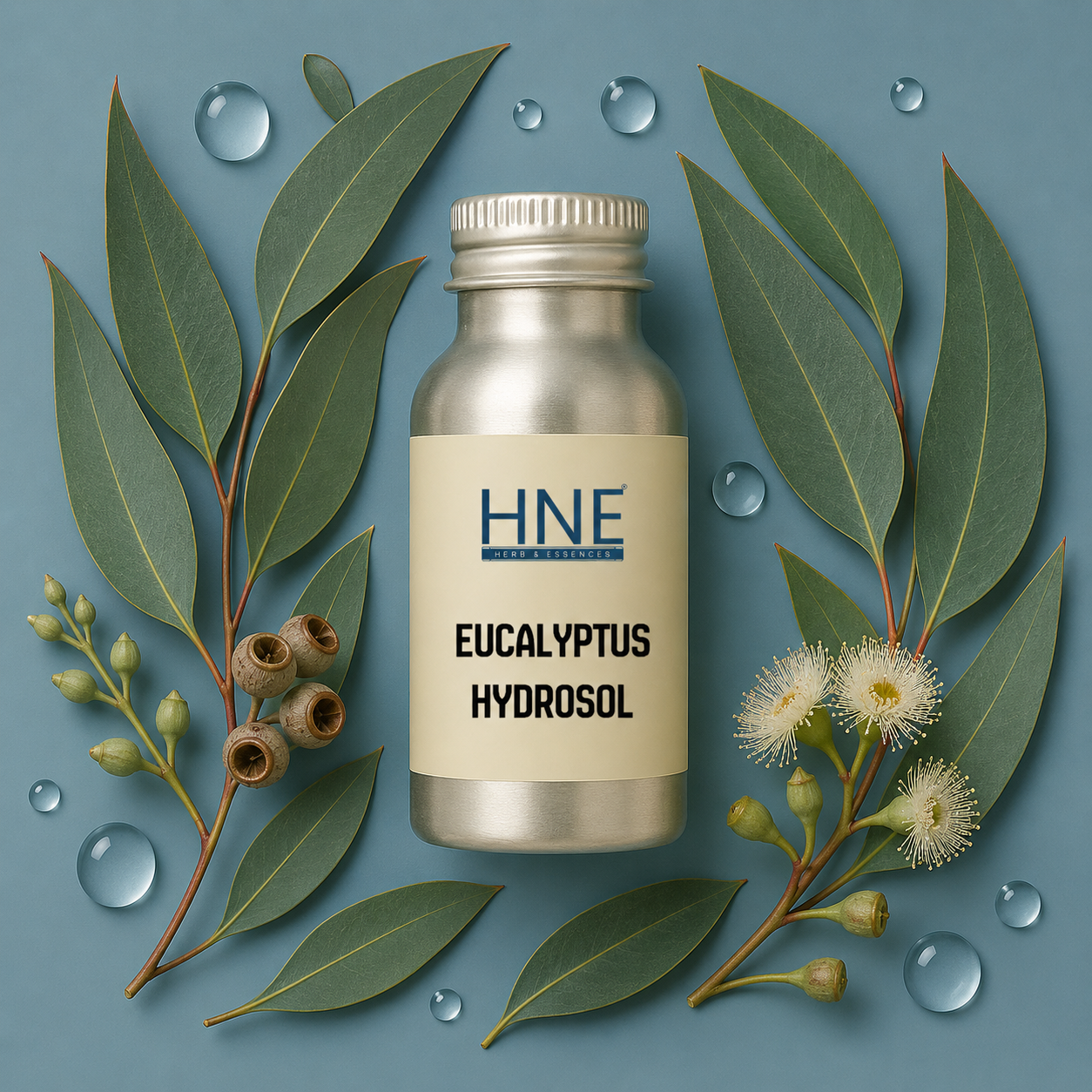 Bottle of HNE Eucalyptus Hydrosol surrounded by eucalyptus leaves and flowers on a blue background