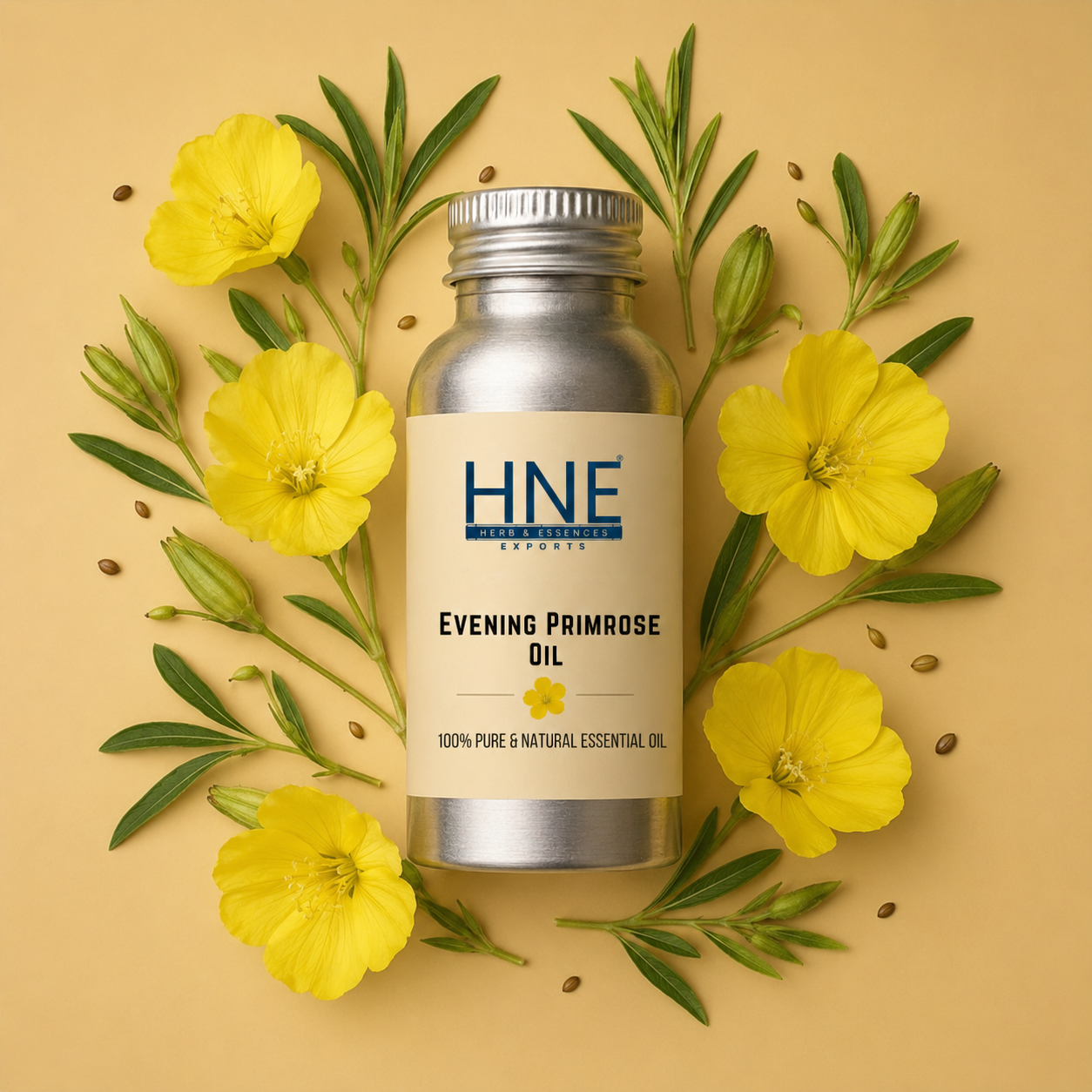 Bottle of HNE Evening Primrose Oil surrounded by yellow flowers and green leaves on a beige background