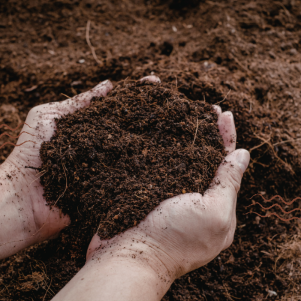 Hands holding a clump of soil against a brown background