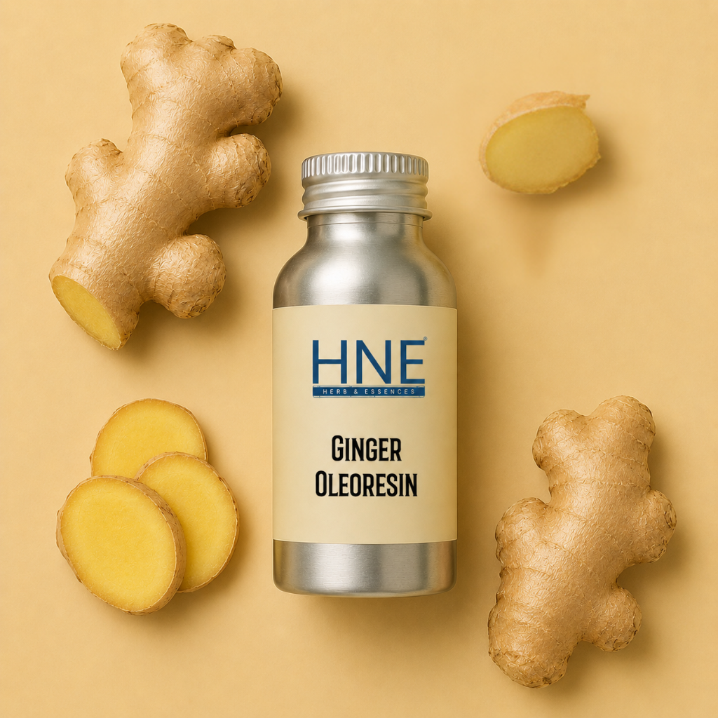 Bottle of HNE Ginger Oleoresin with ginger root and leaves on a beige background