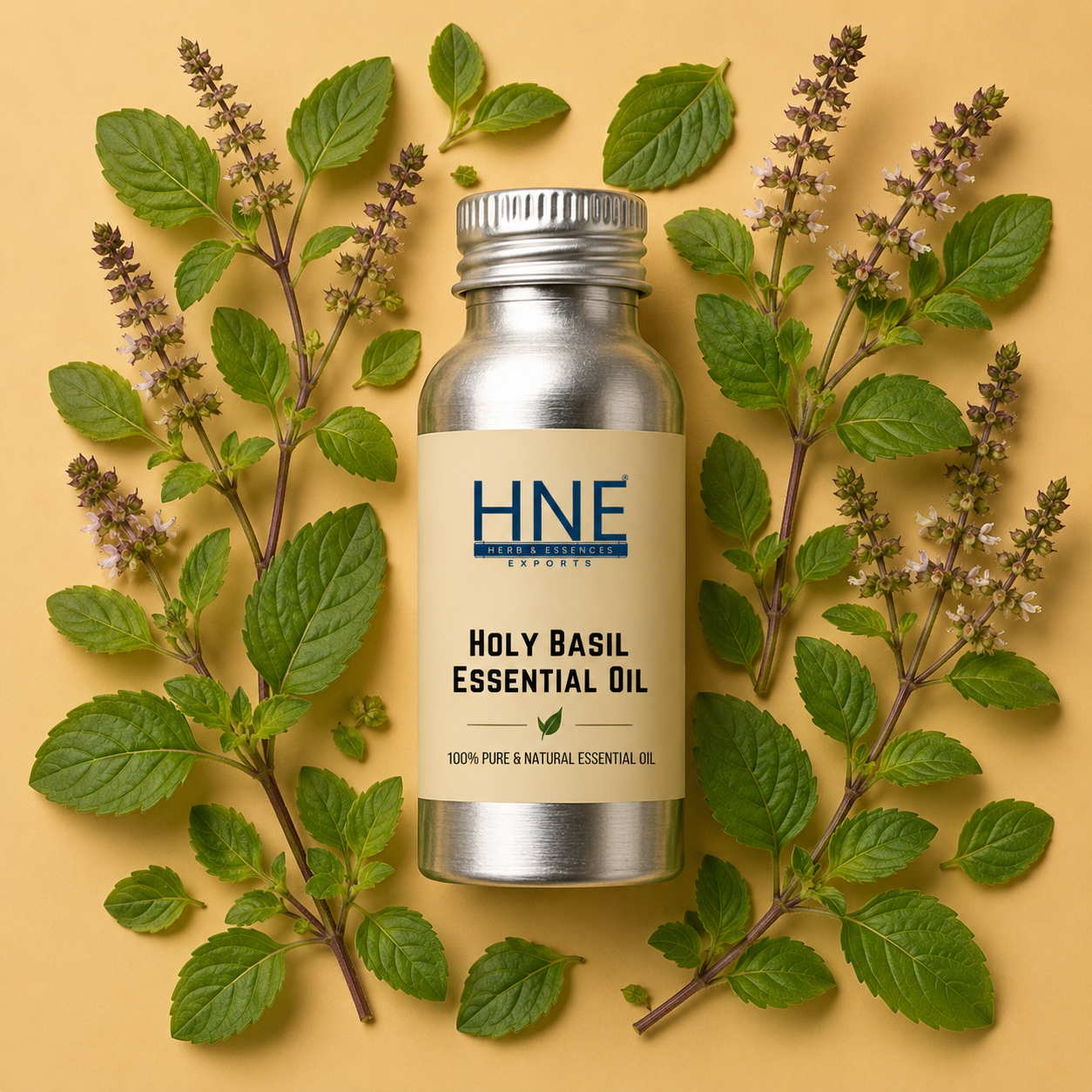 HOLY BASIL ESSENTIAL OIL bottle with leaves on a beige background