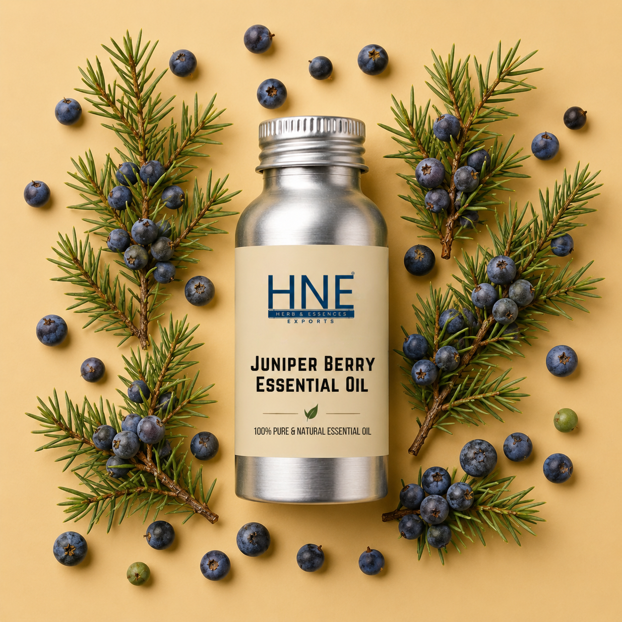 Juniper berry essential oil bottle with juniper berries and branches on a beige background