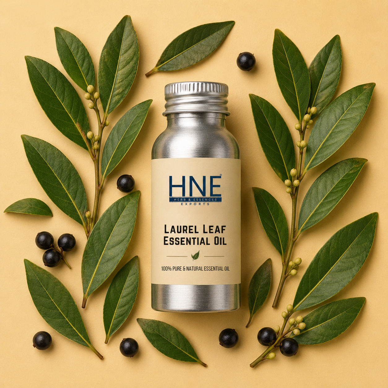 HNE Laurel Leaf Essential Oil bottle surrounded by laurel leaves and berries on a beige background