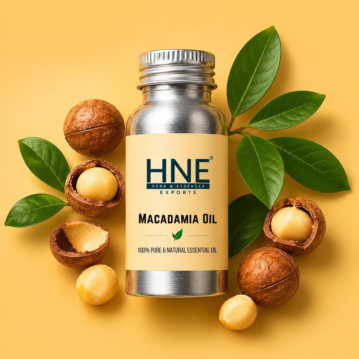 Bottle of HNE Macadamia Oil with macadamia nuts and leaves on a yellow background