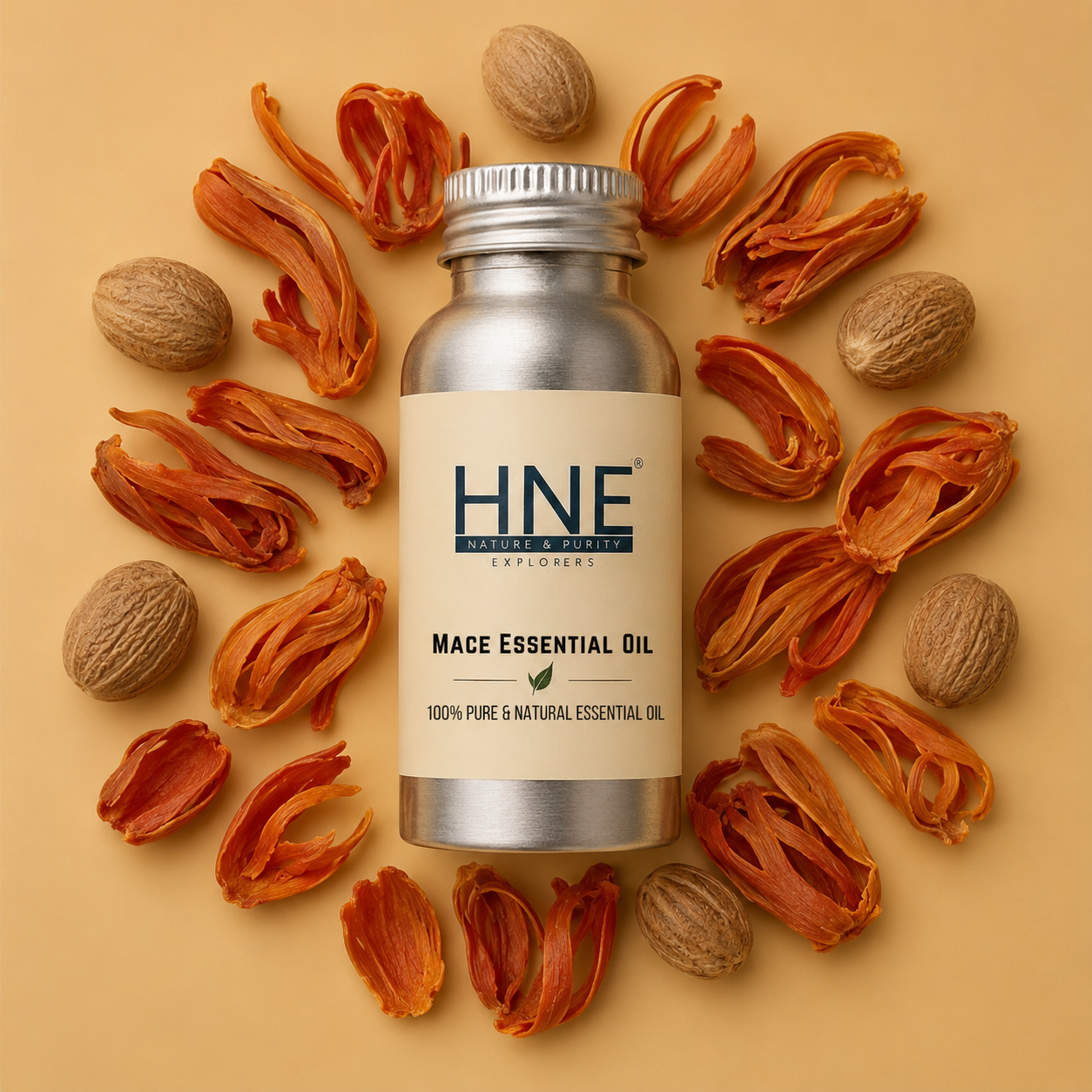 Bottle of HNF Mace Essential Oil surrounded by mace seeds and husks on a beige background