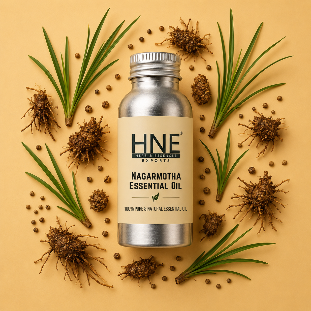 HNE Nagarmotha Essential Oil bottle surrounded by dried plants and seeds on a beige background