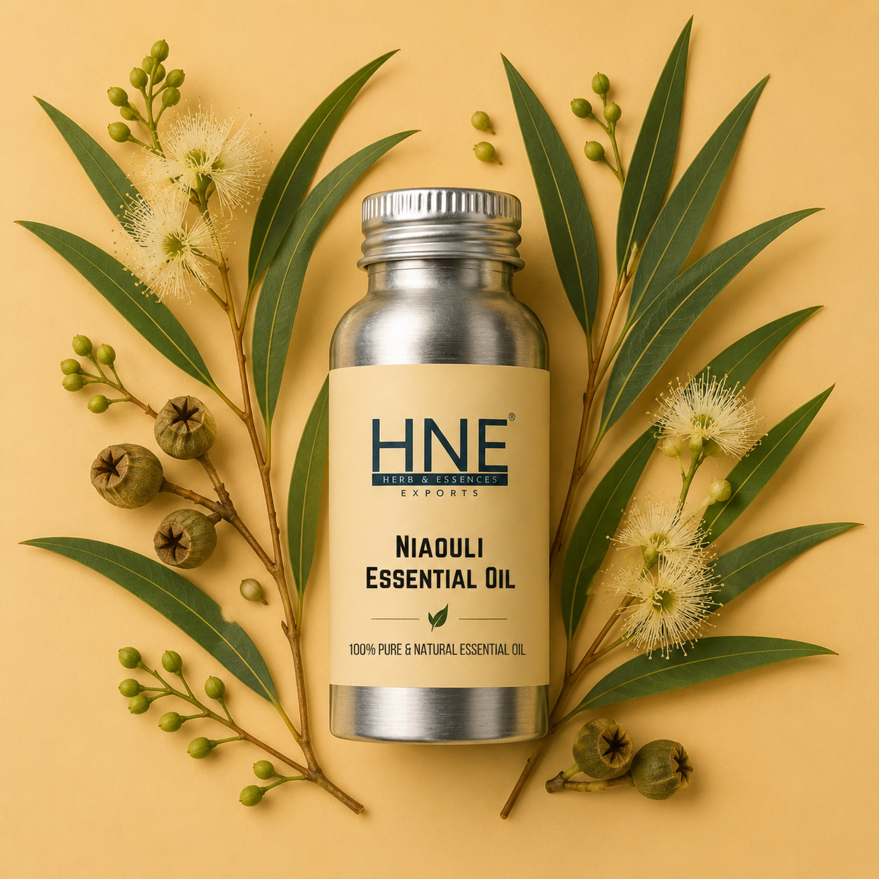 HNE Niaouli Essential Oil bottle with eucalyptus leaves and flowers on a beige background