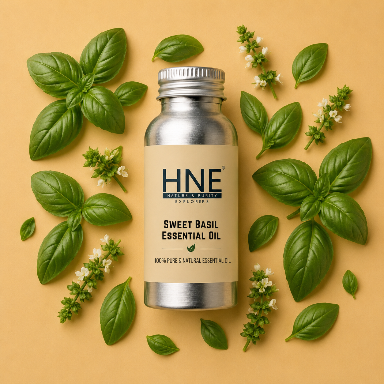 Bottle of HNE Sweet Basil Essential Oil surrounded by basil leaves and flowers on a beige background