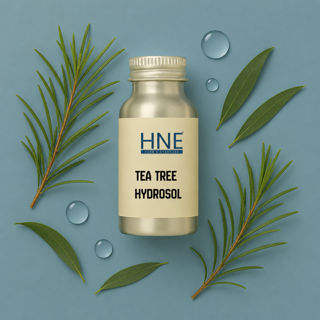 Bottle of HNE Tea Tree Hydrosol with tea tree leaves and droplets on a blue background